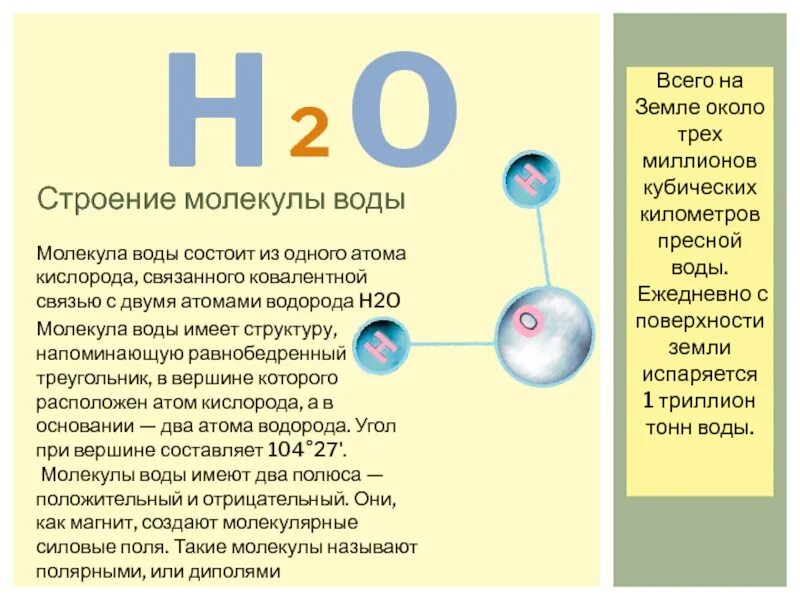 Строение водорода. Интересные факты о молекуле воды. В молекуле воды атом кислорода связан. Из чего состоит молекула воды кратко.