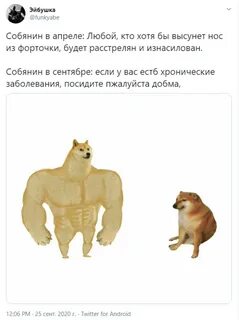 Слышь щенок