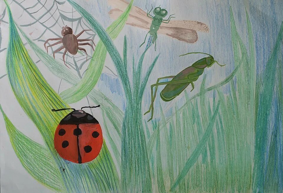 Рисунок луга 1 класс окружающий мир. Рисование насекомые в подготовительной группе. Рисование мир насекомых в старшей группе. Рисование с детьми на тему насекомые. Насекомые для дошкольников рисование.