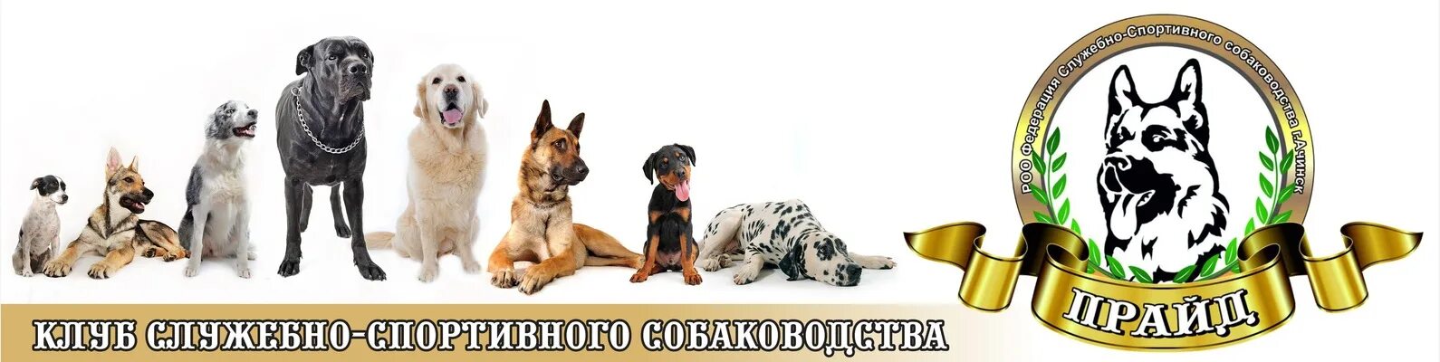 Клуб собаководства сайт. Клуб собаководства сайт