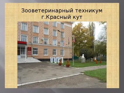 Красный техникум