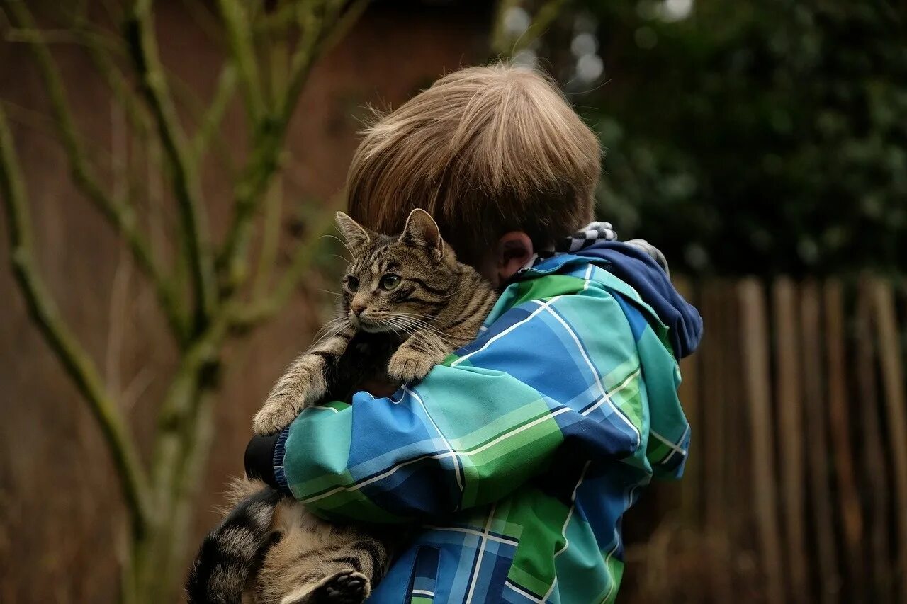 Обнимать кошку. Кошка для детей. Кот обнимает. Мальчик с котом.