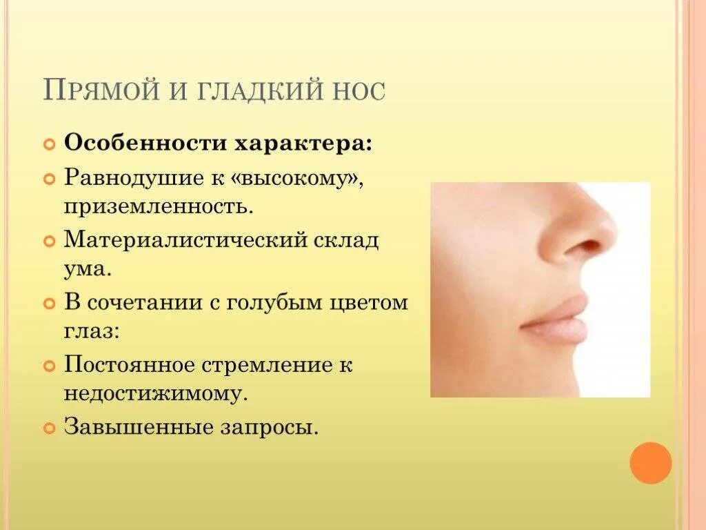 Какой бывает нос. Формы носа. форма носа и характер. характер по форме ноздрей. нос характер.
