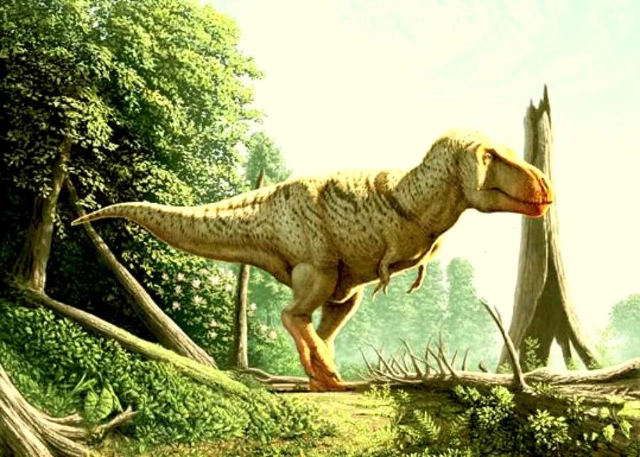 Динозавры палеоарт. Тираннозавр рекс. Тираннозавр палеоарт. Пахицефалозавр палеоарт.