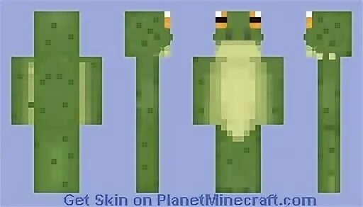 The man from the frog minecraft. The man from the frog minecraft