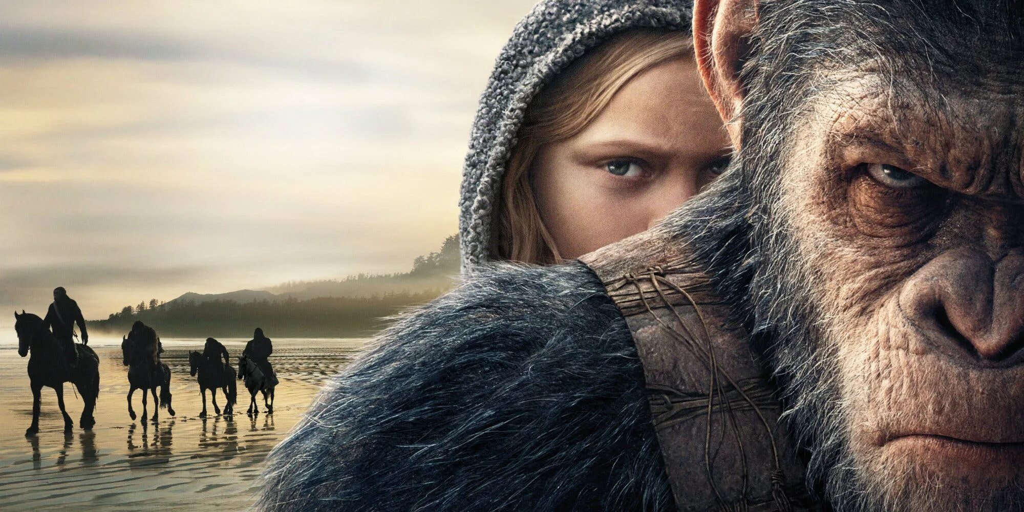 Kingdom of the apes