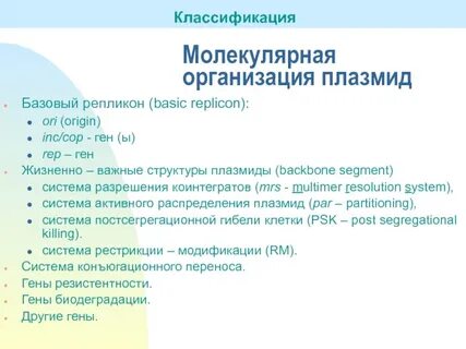 Генетические элементы плазмиды