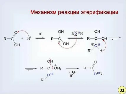 Механизм реакции