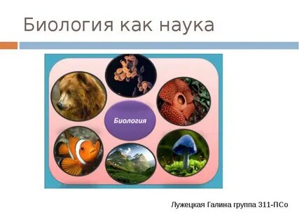 Биология как наука видеоурок