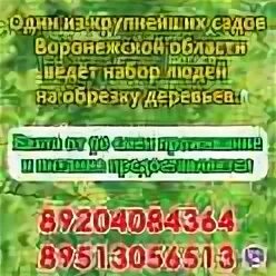 Работа в тамбове без опыта