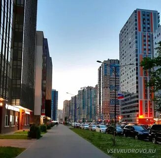 86 участок кудрово