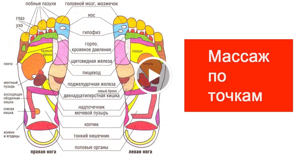 Карта в стопе метро. Рефлекторные зоны стопы схема. Точки на стопе отвечающие за органы. Точки на стопе отвечающие за печень. Органы на стопах для массажа.