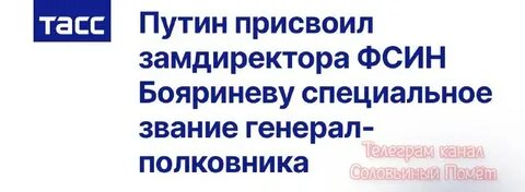 Соловьиный помет телеграмм каналы