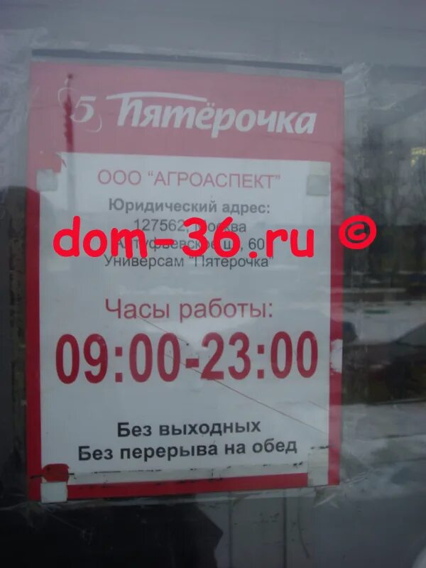 Пятерочка какой график работы. Пятерочка режим работы. Пятерочка белградская 26. Пятерочка питер ооо агроторг. Пятерочка режим работы.