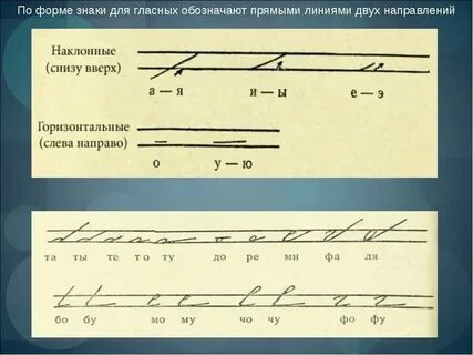 Стенография почек