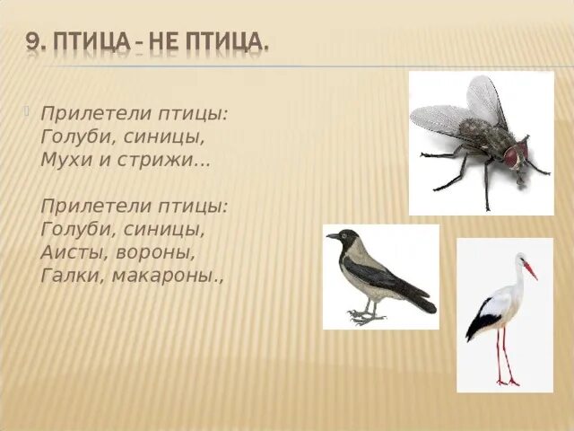 Летели птицы голуби синицы. Летели птицы голуби синицы