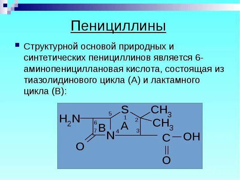 Пенициллин 6. Функциональные группы пенициллина. Строение пенициллинов. Строение пенициллина. Природные пенициллины.