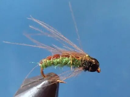 Video fly