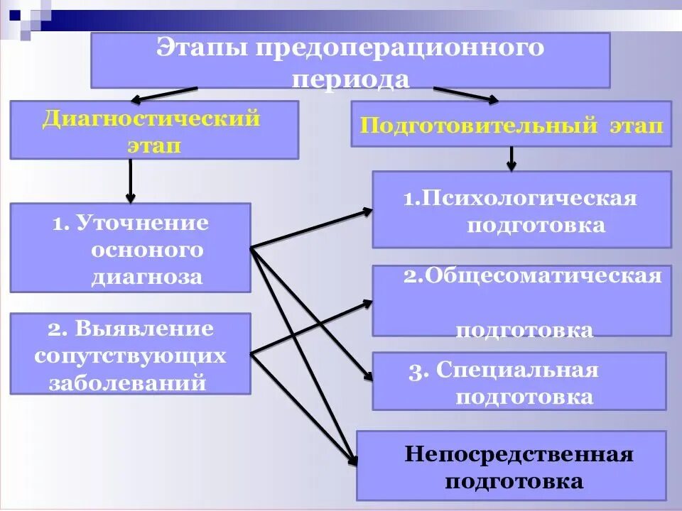 Этапы периода подготовки