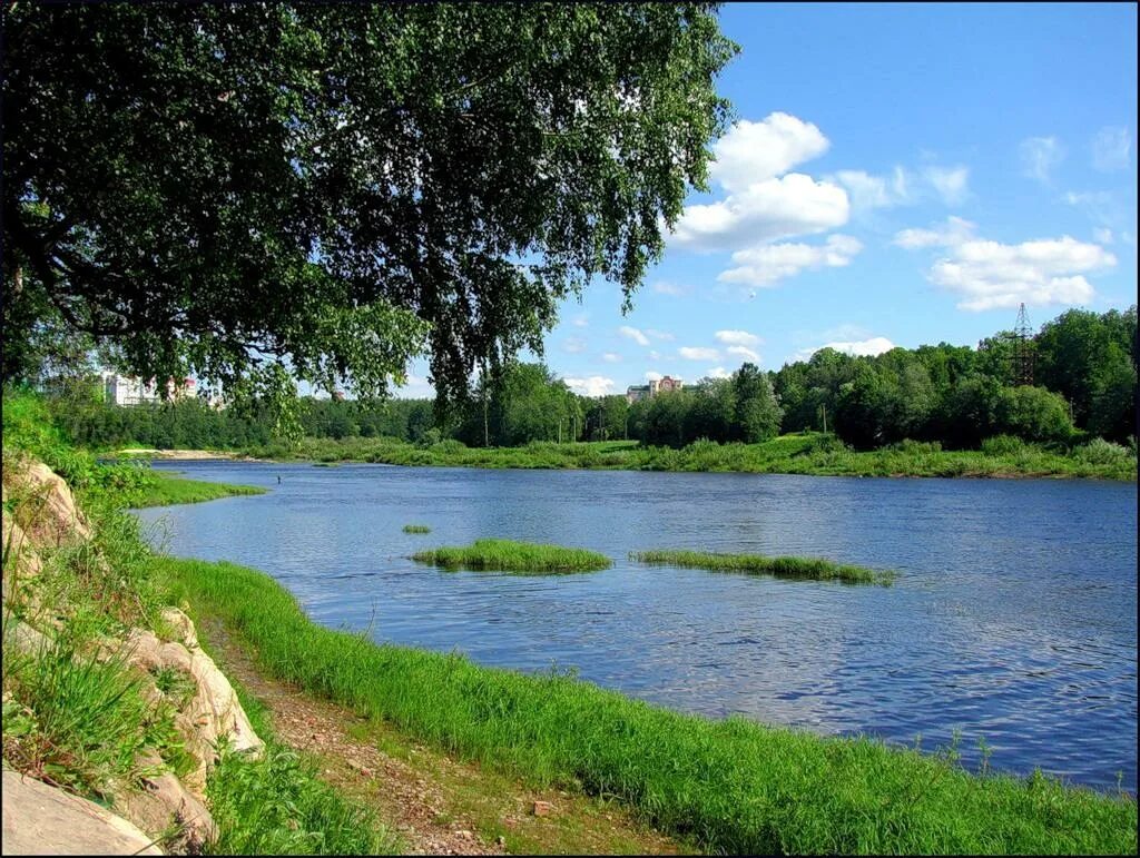 Река Луга Кингисепп. Река Луга Новгородская область. Река Луга в Ленинградской области. Рожайка река Луга. Река луга и человек