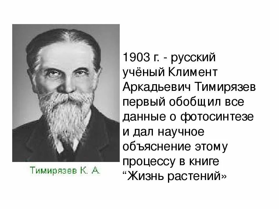 Впервые значение хлорофилла установил русский ученый. Тимирязев достижения.