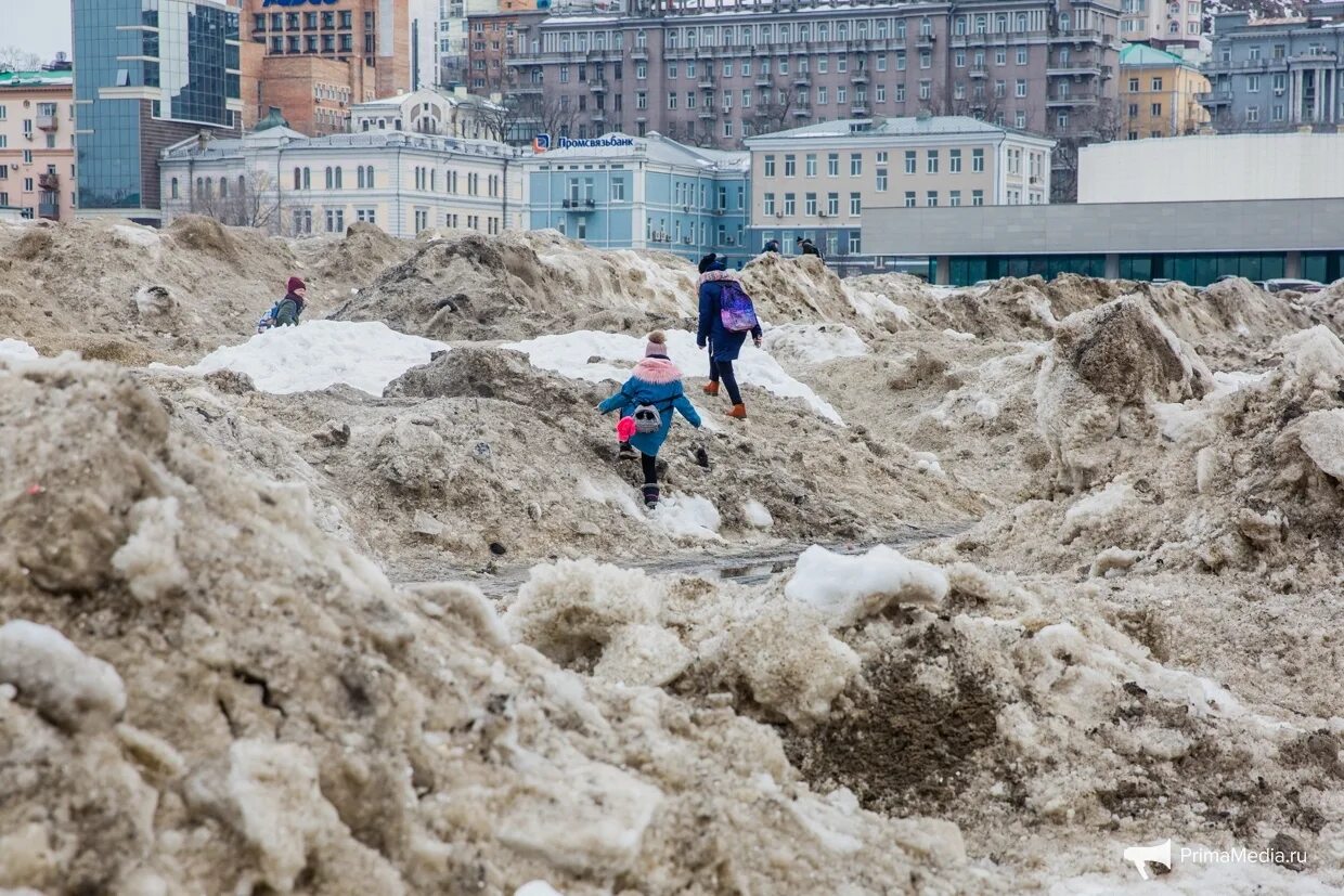 Грязный снег. Горы грязного снега. Грязный сугроб. Грязный снег в России. Грязные сугробы