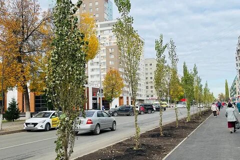 Аллея науки