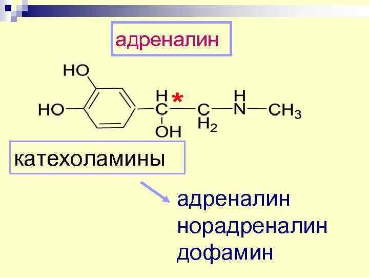 Катехоламины структура. Катехоламины формула. Производные аминокислот дофамин. Синтез адреналина в организме. Катехоламины структура.