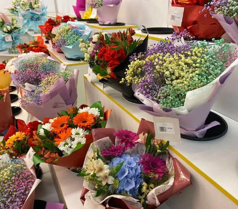 рижский рынок цветы в горшках. цветочный рынок ростов на дону. цветочный рынок ростов на дону. цветы на г. цветочный рынок ростов на дону.