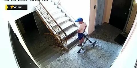 Видео писающих в подъезде