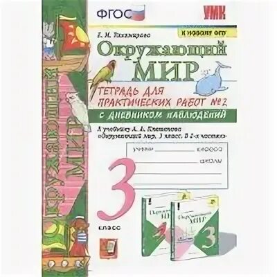 Окружающий мир 2 тетрадь для практических работ