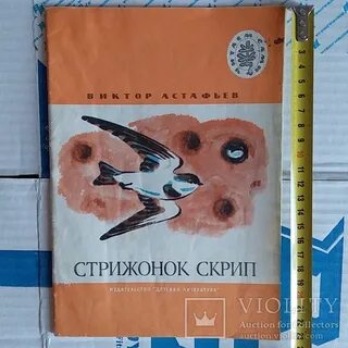 Стрижонок скрип отзыв для читательского дневника