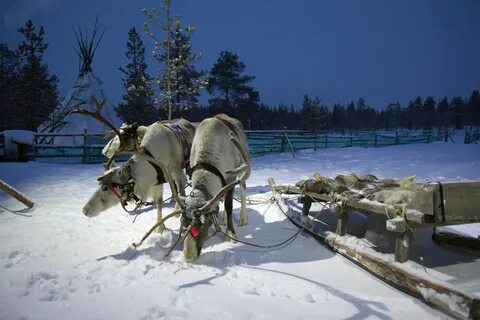 А также северного