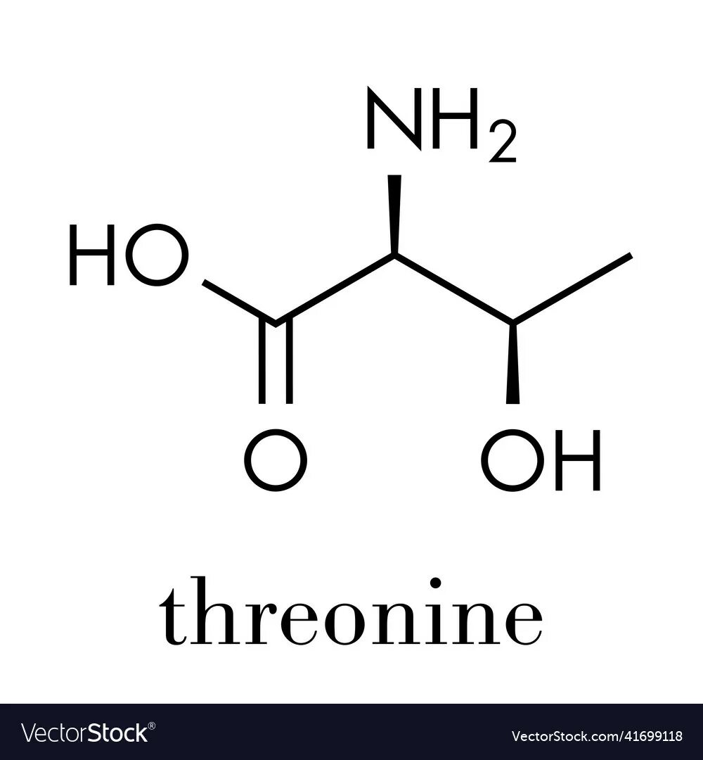 Треонин аминокислота. Треонин формула. Thr аминокислота. Треонин химия. Треонин это