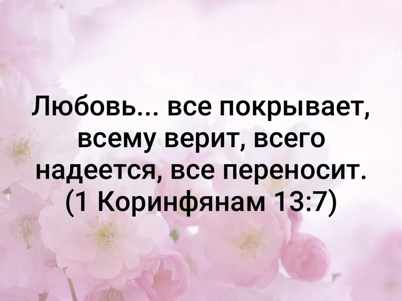 Любовь все покрывает всему верит всего. Любовь все покрывает. любовь всему верит. любовь всё покрывает всему верит. любовь все переносит.