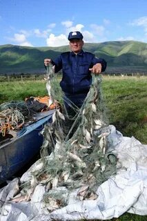 Чагытай республика тыва