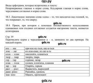 Упражнения 20 русский язык 6 класс
