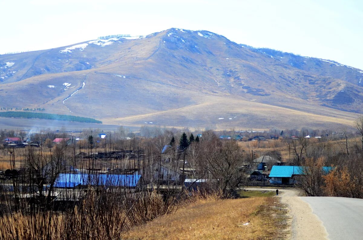 Погода село солоновка алтайский край