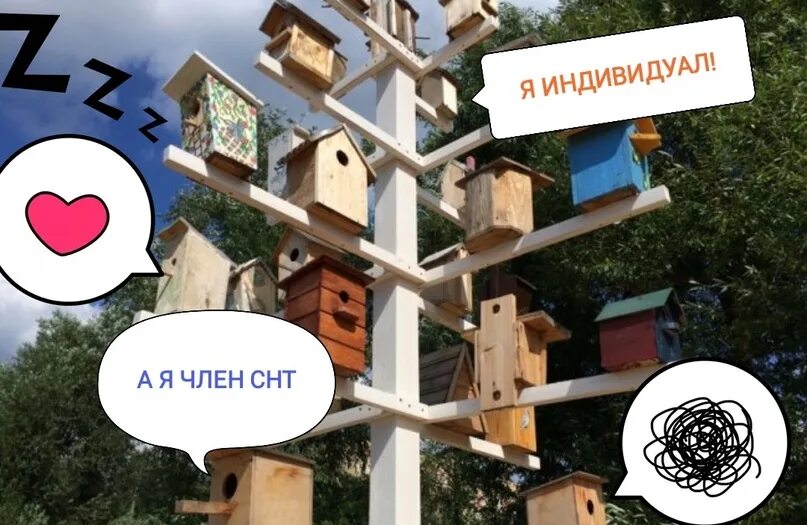 Зачем нужно снт. Снт юмор. снт картинки прикольные. снт картинки смешные.