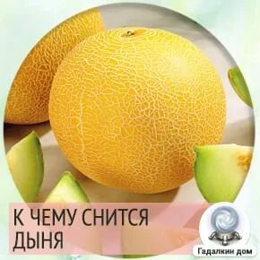 Видеть во сне дыню