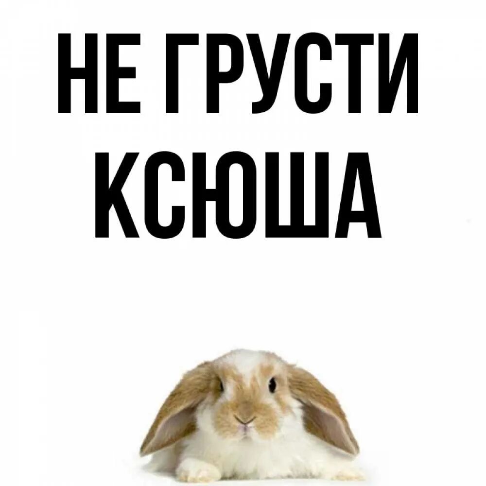 Надпись ксюшка не подарок ксюшка сюрприз. Не грусти ксюша открытка. Включи не ксюшу. Включи не ксюшу. Футболка ксюша.