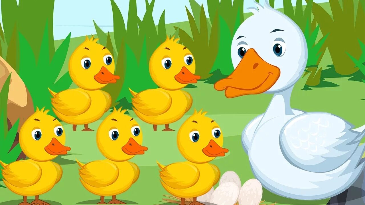 5 ducks. Картинки утят для детей разных цветов. 4 Ducks для детей. Картина утки для детей 2-3. Картинка утки для детей в детском саду.