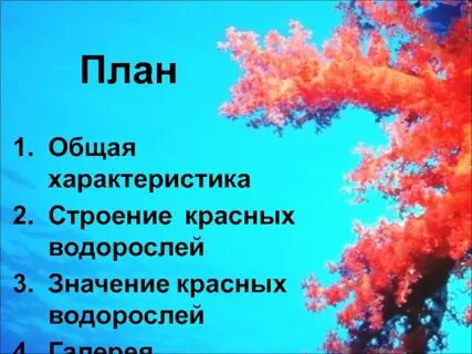 Строение красные