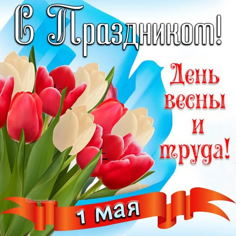 1 мая международный день. 1 мая международный день