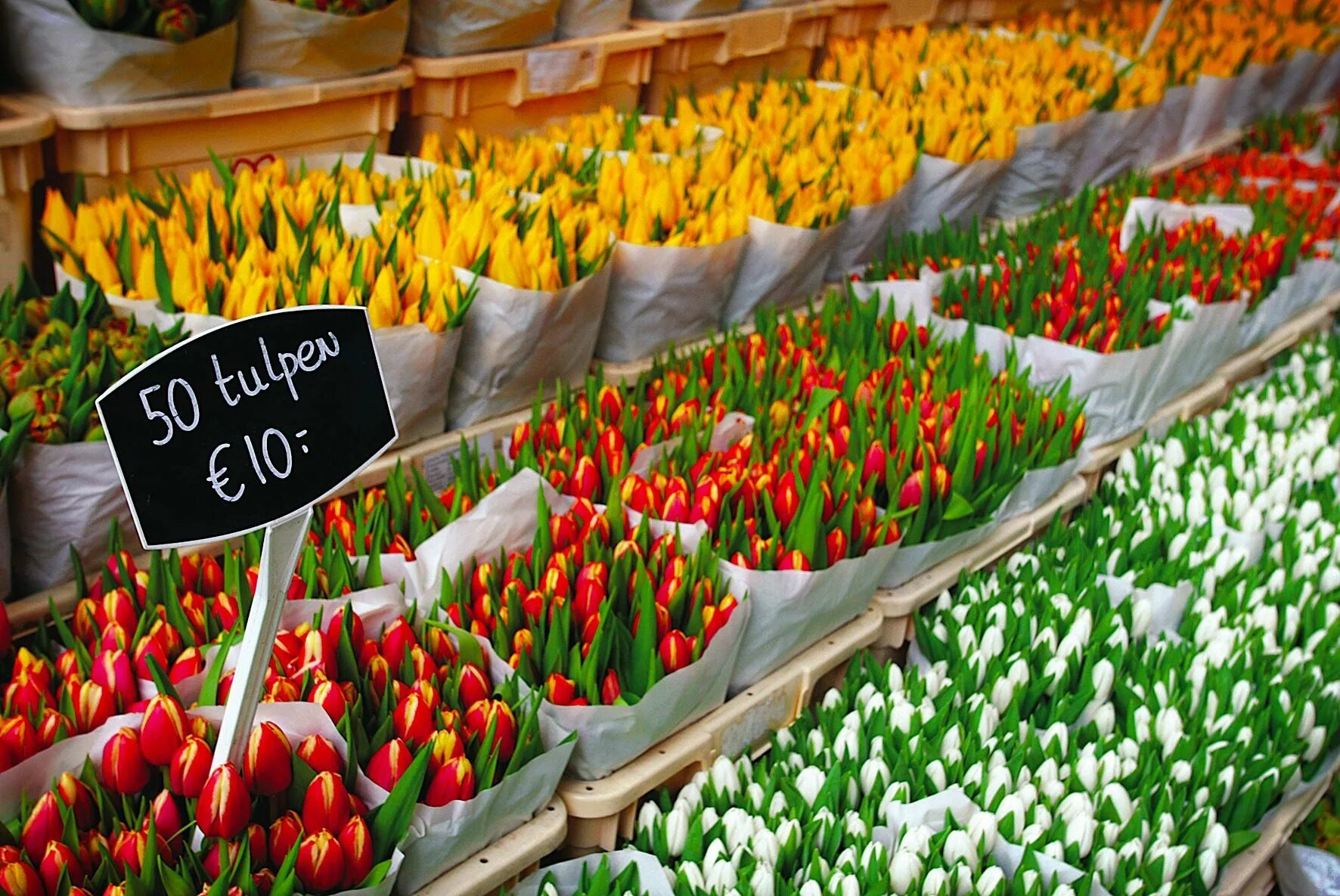 Новый цветочный рынок. Цветочный рынок Блюменмаркт, Амстердам, Голландия. Bloemenmarkt в Амстердаме. Музей тюльпанов в Голландии. Голландские тюльпаны Buket.