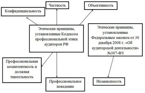 Профессиональные принципы аудита