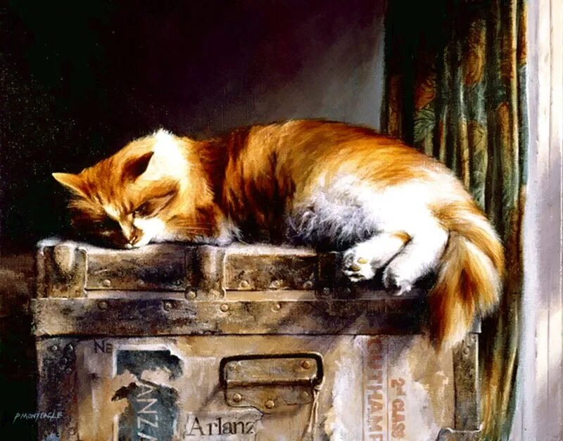 Рейчел паркер кошки акварель. Кошка художник. Кошки в живописи. Кошки картины художников. Кошки в живописи.