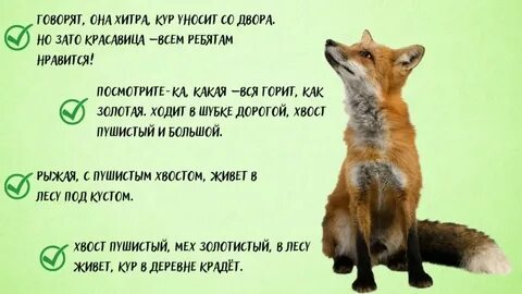 Песня хитрая лиса жалит как оса