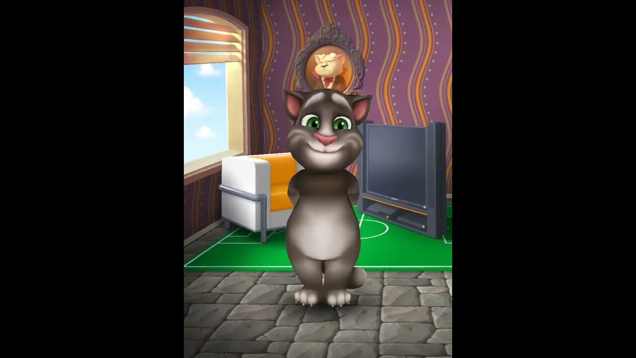 1 часть говорящего тома. Talking Tom. Дом говорящего Тома 2011. Видео геймплея мой говорящий том. Мой говорящий том Королевская квартира.