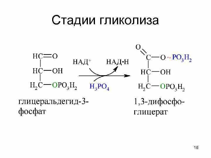 Катаболизм валина. Второй этап гликолиза. Реакции 2 стадии гликолиза. Второй этап гликолиза. Гликолиз 1 этап реакции.